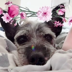 Meet your Posher, Julia